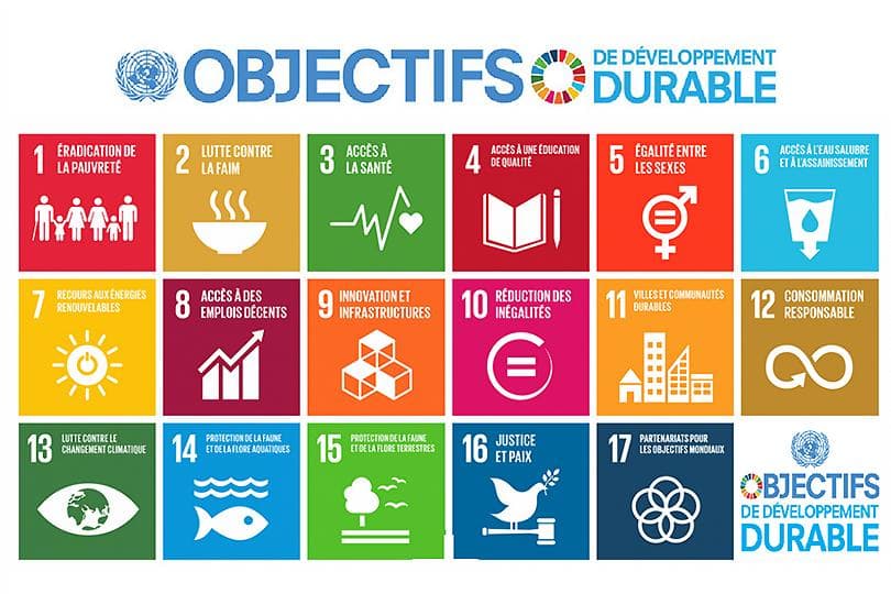 The 17 United Nations Sustainable Development Goals