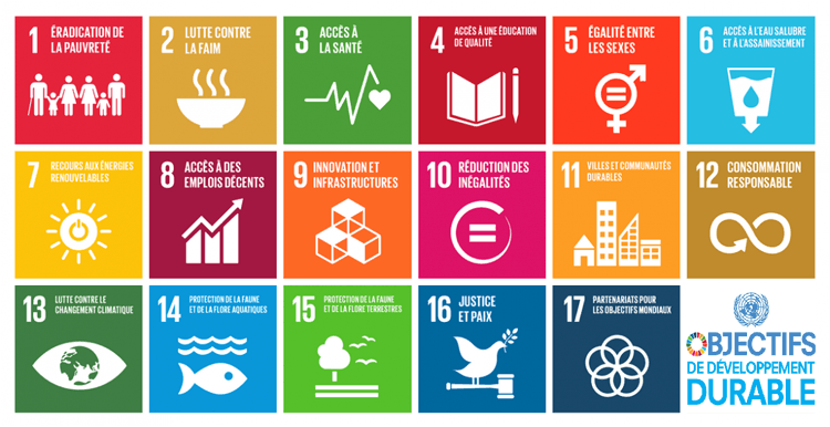 The 17 United Nations Sustainable Development Goals
